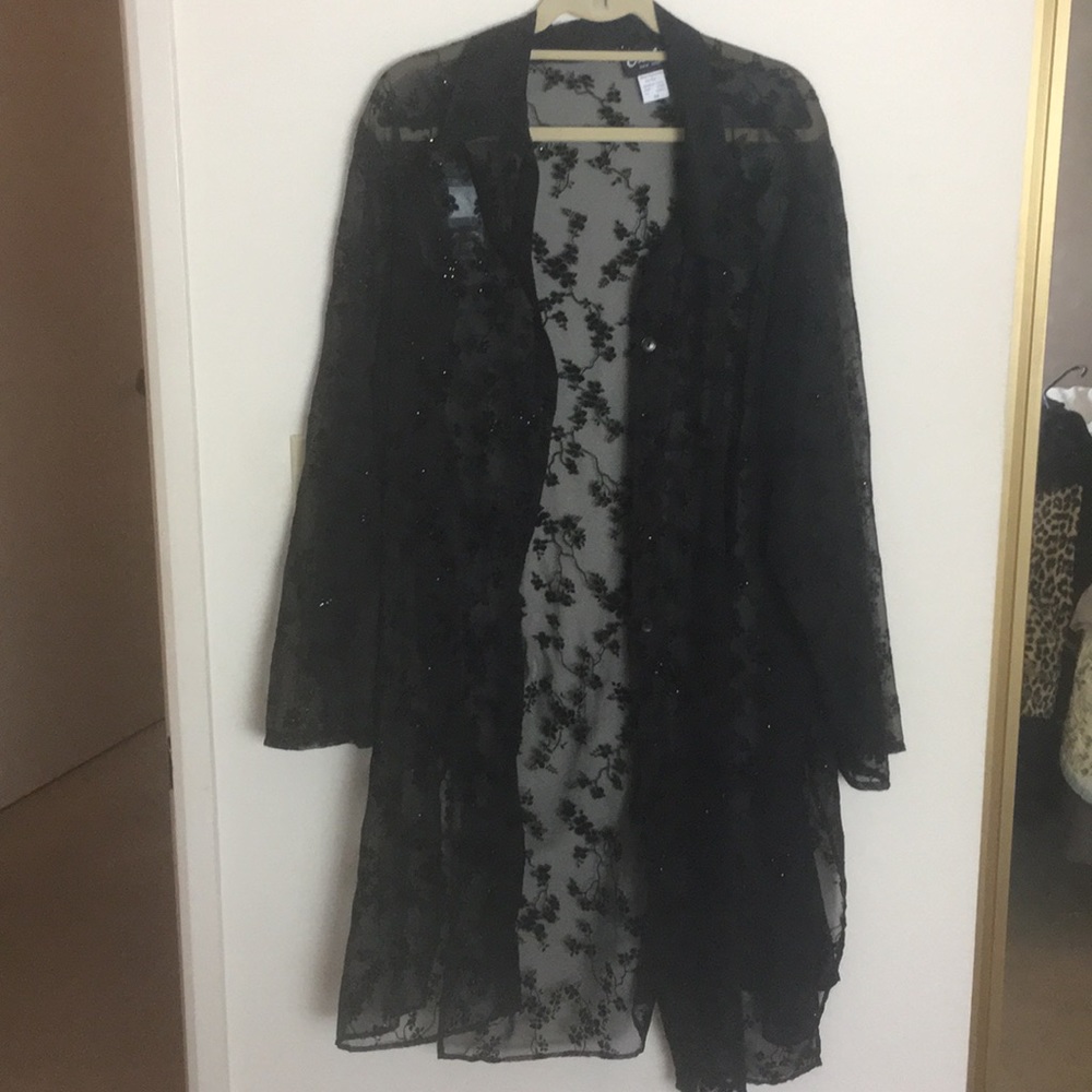 Vintage Caribou NY dress/tunic? Sheer.  3X